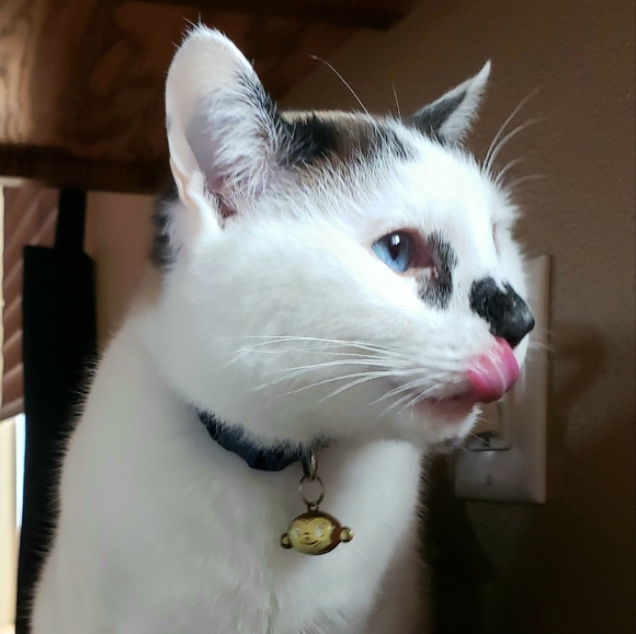 Hi, I'm Ruthie!!! :) - Picture 3 of 5